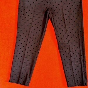 Talbots Black Polka Dot Trousers